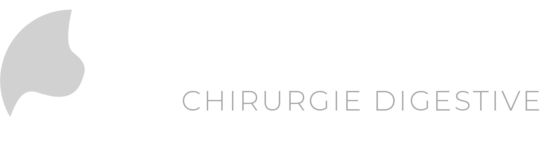 Logo visceropale V2 fond couleur